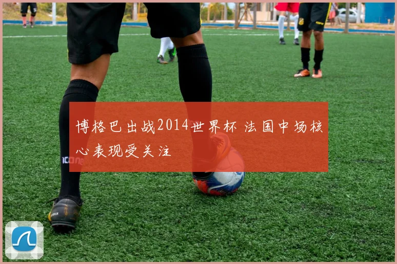 博格巴出战2014世界杯 法国中场核心表现受关注