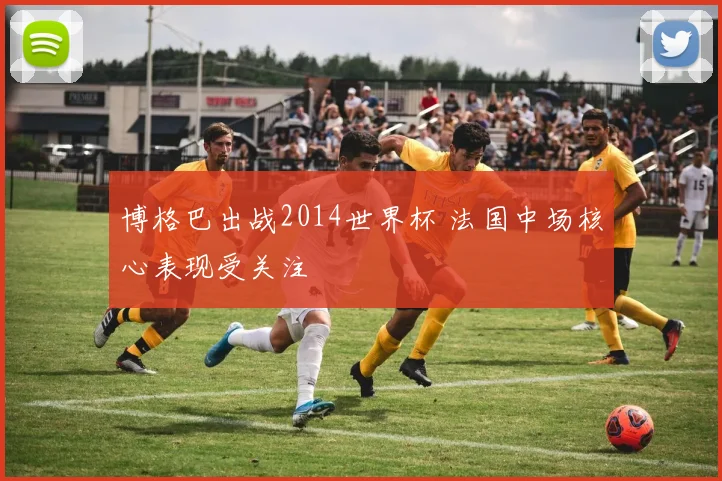 博格巴出战2014世界杯 法国中场核心表现受关注