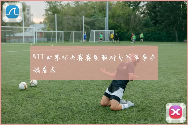 WTT世界杯决赛赛制解析与冠军争夺战看点