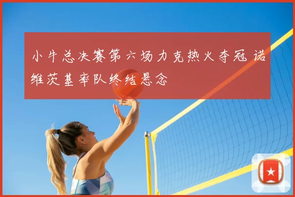 小牛总决赛第六场力克热火夺冠 诺维茨基率队终结悬念