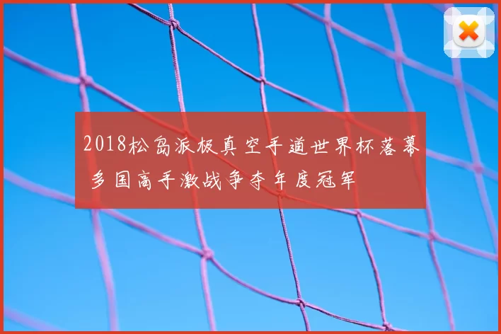 2018松岛派极真空手道世界杯落幕 多国高手激战争夺年度冠军