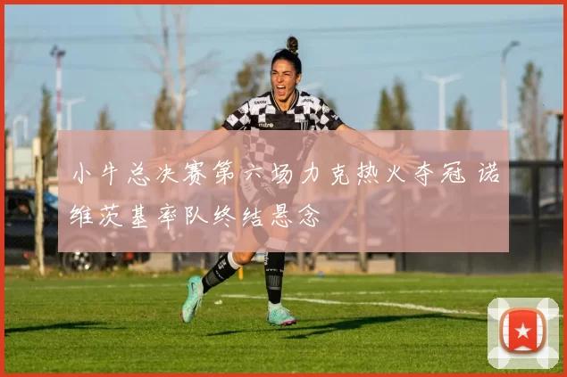 小牛总决赛第六场力克热火夺冠 诺维茨基率队终结悬念
