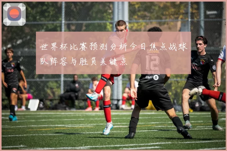 世界杯比赛预测分析今日焦点战球队阵容与胜负关键点