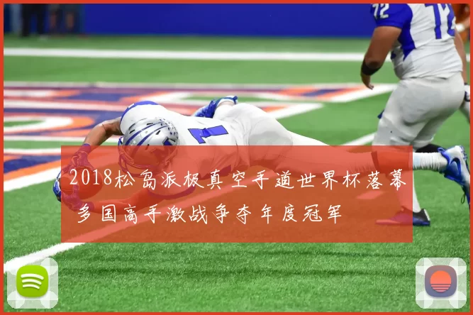 2018松岛派极真空手道世界杯落幕 多国高手激战争夺年度冠军