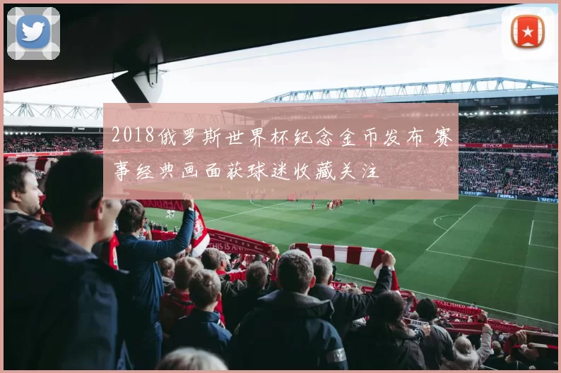 2018俄罗斯世界杯纪念金币发布 赛事经典画面获球迷收藏关注