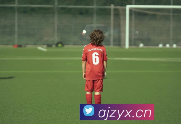 mksports体育平台生态图
